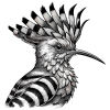 African Hoopoe Logo v1 sml tiny